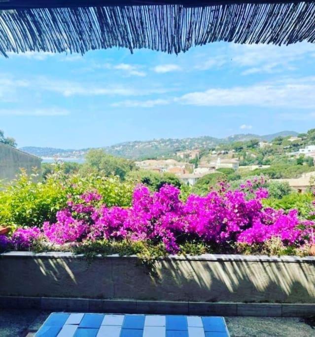 Apartment Mazet - A Pied Saint-Peire-sur-Mer